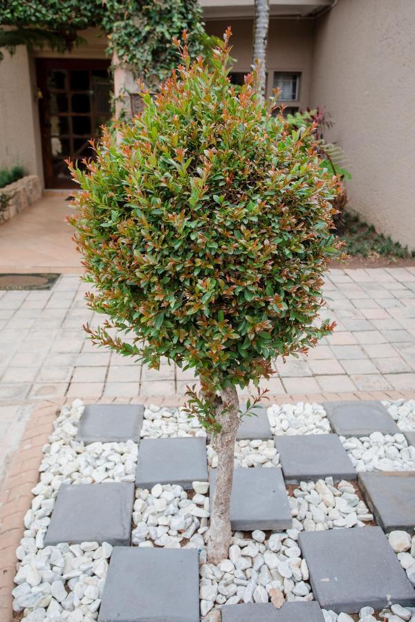 4 Gazelle Guesthouse Mbombela Exteriör bild